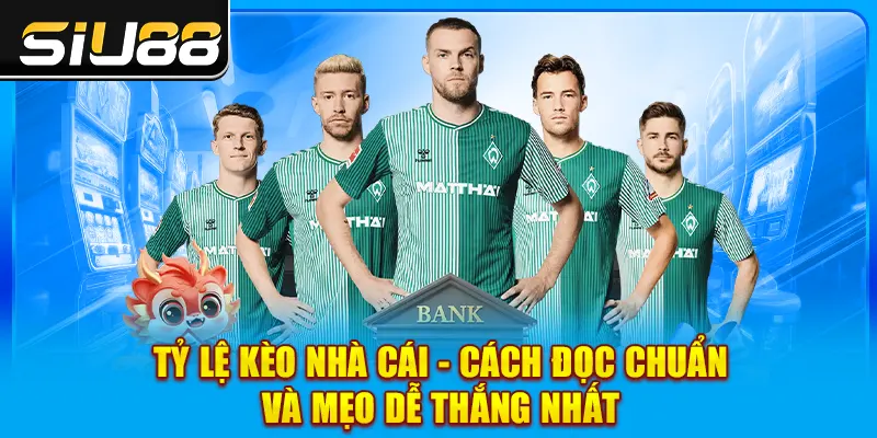 Tỷ Lệ Kèo Nhà Cái - Cách Đọc Chuẩn Và Mẹo Dễ Thắng Nhất