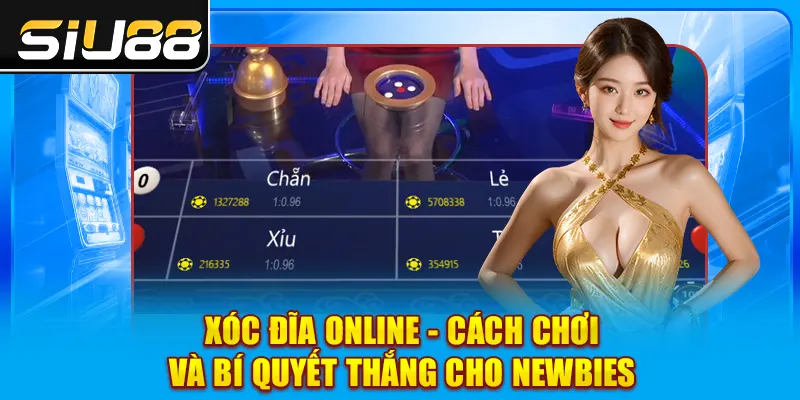 Xóc Đĩa Online - Cách Chơi Và Bí Quyết Thắng Cho Newbies