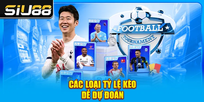 Các loại tỷ lệ kèo dễ dự đoán Các loại tỷ lệ kèo dễ dự đoán