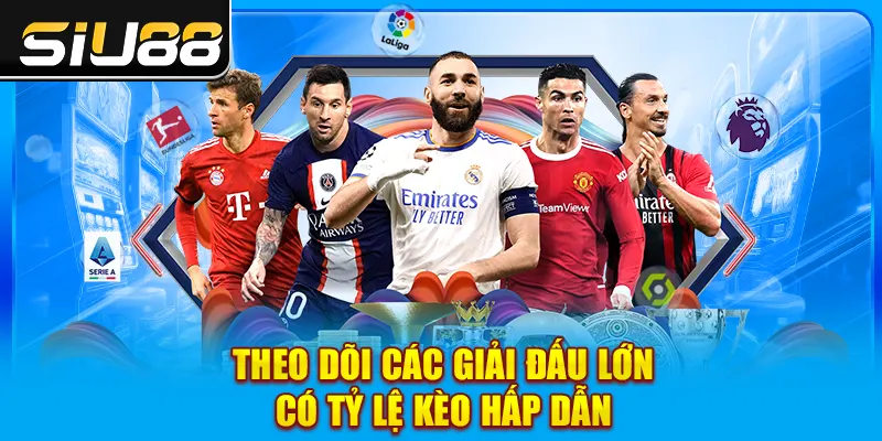Theo dõi các giải đấu lớn có tỷ lệ kèo hấp dẫn
