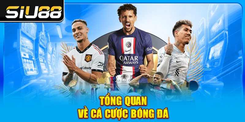 Tổng quan về cá cược bóng đá