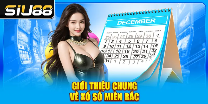Giới thiệu chung về xổ số miền Bắc Giới thiệu chung về xổ số miền Bắc