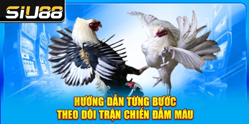 Hướng dẫn từng bước theo dõi trận chiến đẫm máu Hướng dẫn từng bước theo dõi trận chiến đẫm máu