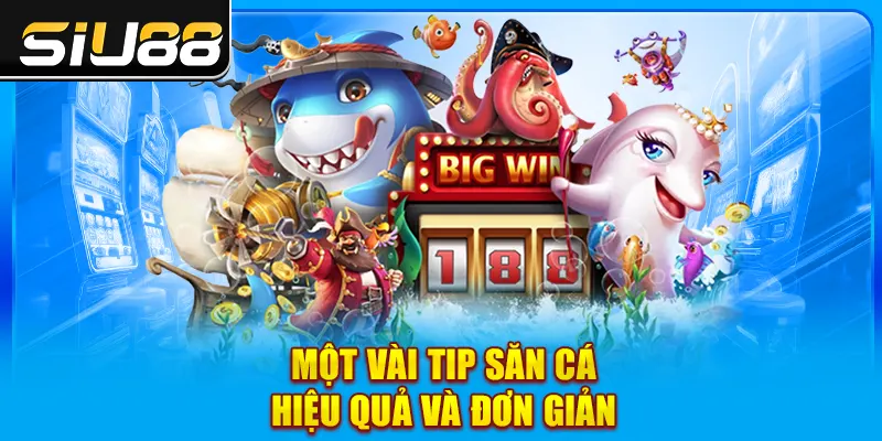 Một vài tip săn cá hiệu quả và đơn giản Một vài tip săn cá hiệu quả và đơn giản