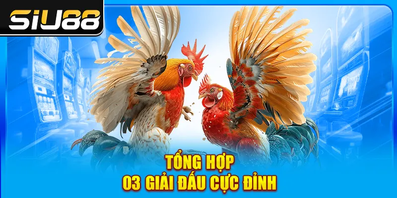Tổng hợp 03 giải đấu cực đỉnh Tổng hợp 03 giải đấu cực đỉnh